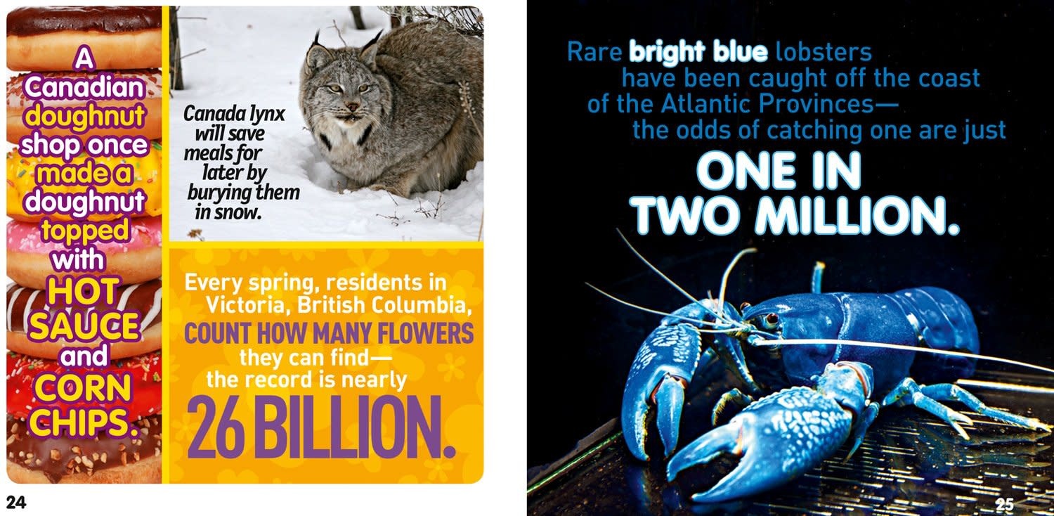 National Georaphic Book Weird But True Canada