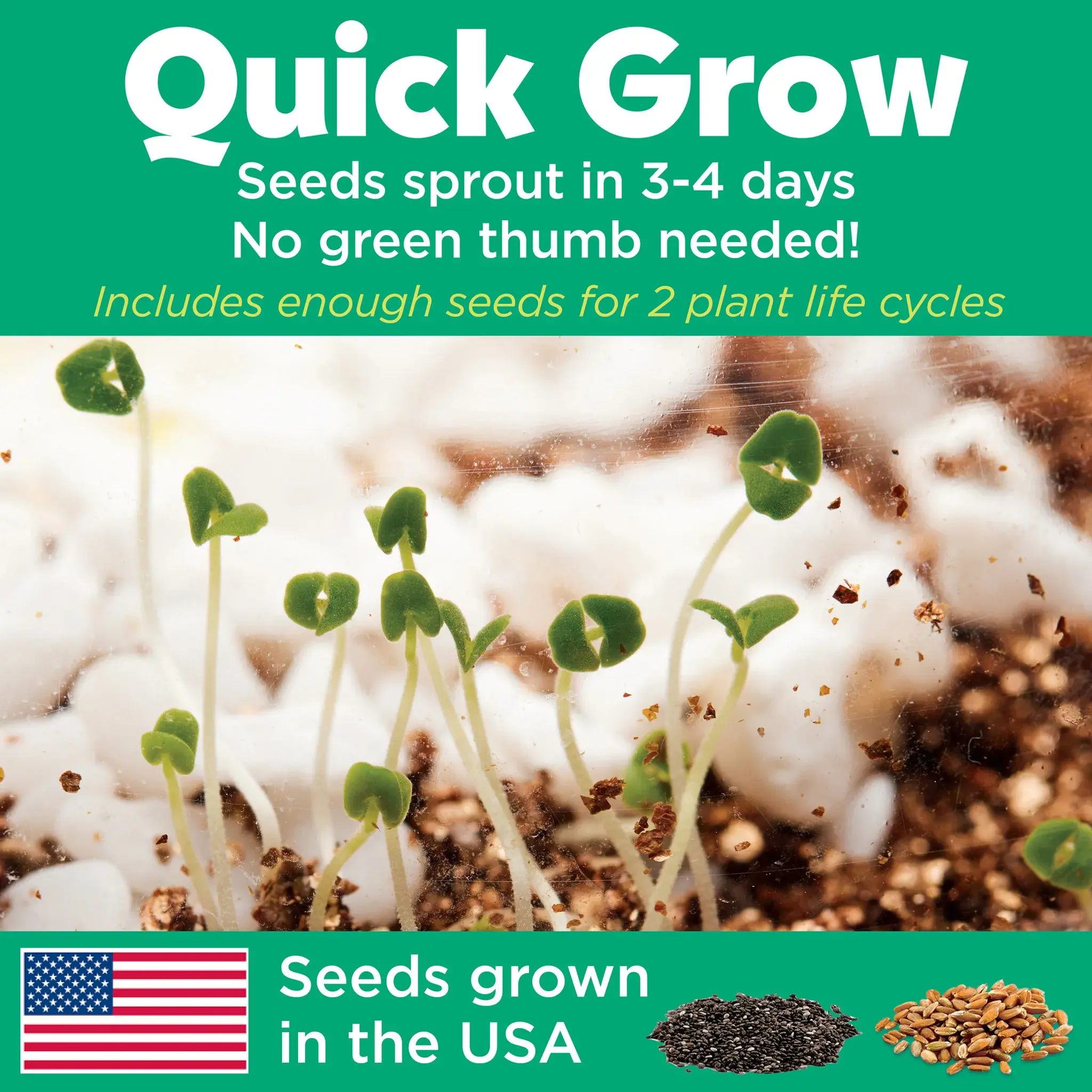 Creativity for Kids Creativity for Kids Grow N' Glow Terrarium