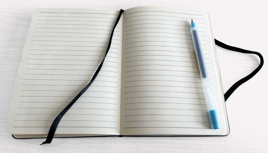 Journal: Nenookasi by Marissa Indoe