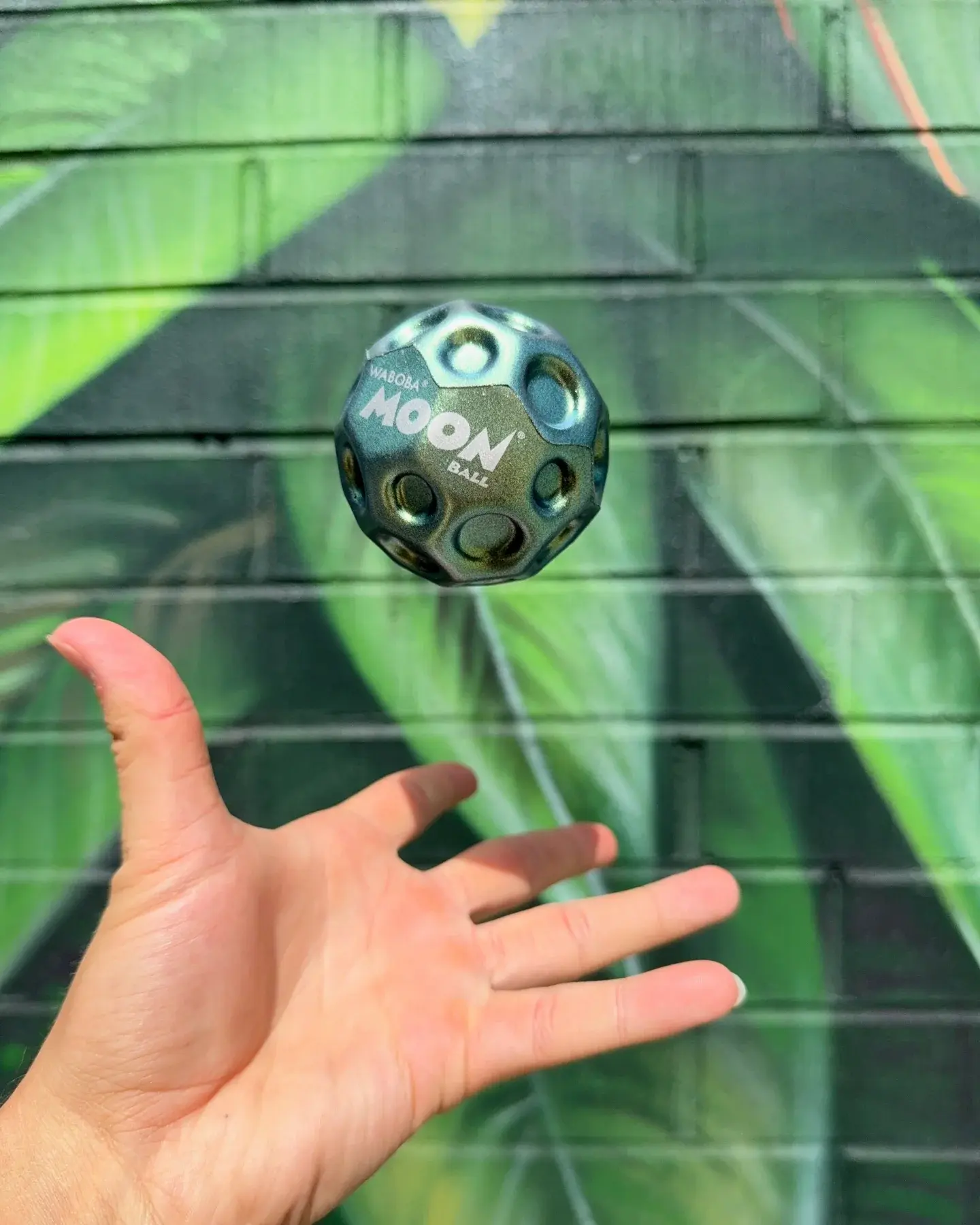 Waboba Waboba Metallic Moon Ball