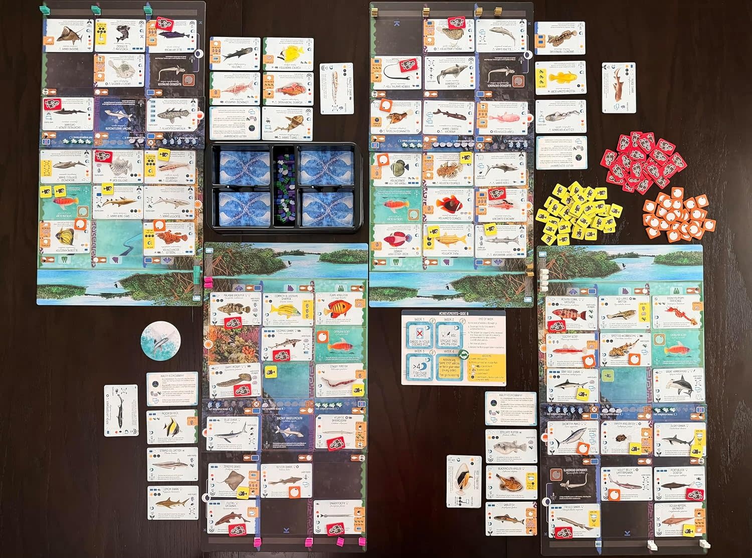Finspan: Sharks & Reefs Expansion Game