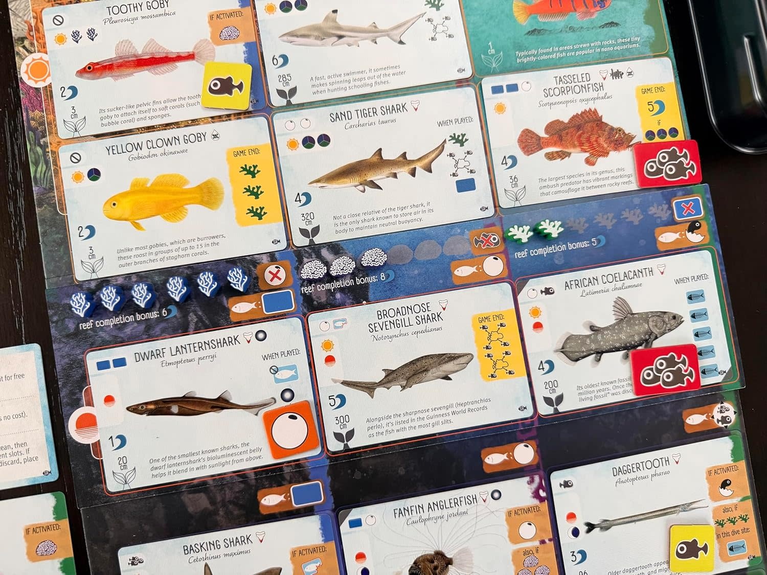 Finspan: Sharks & Reefs Expansion Game