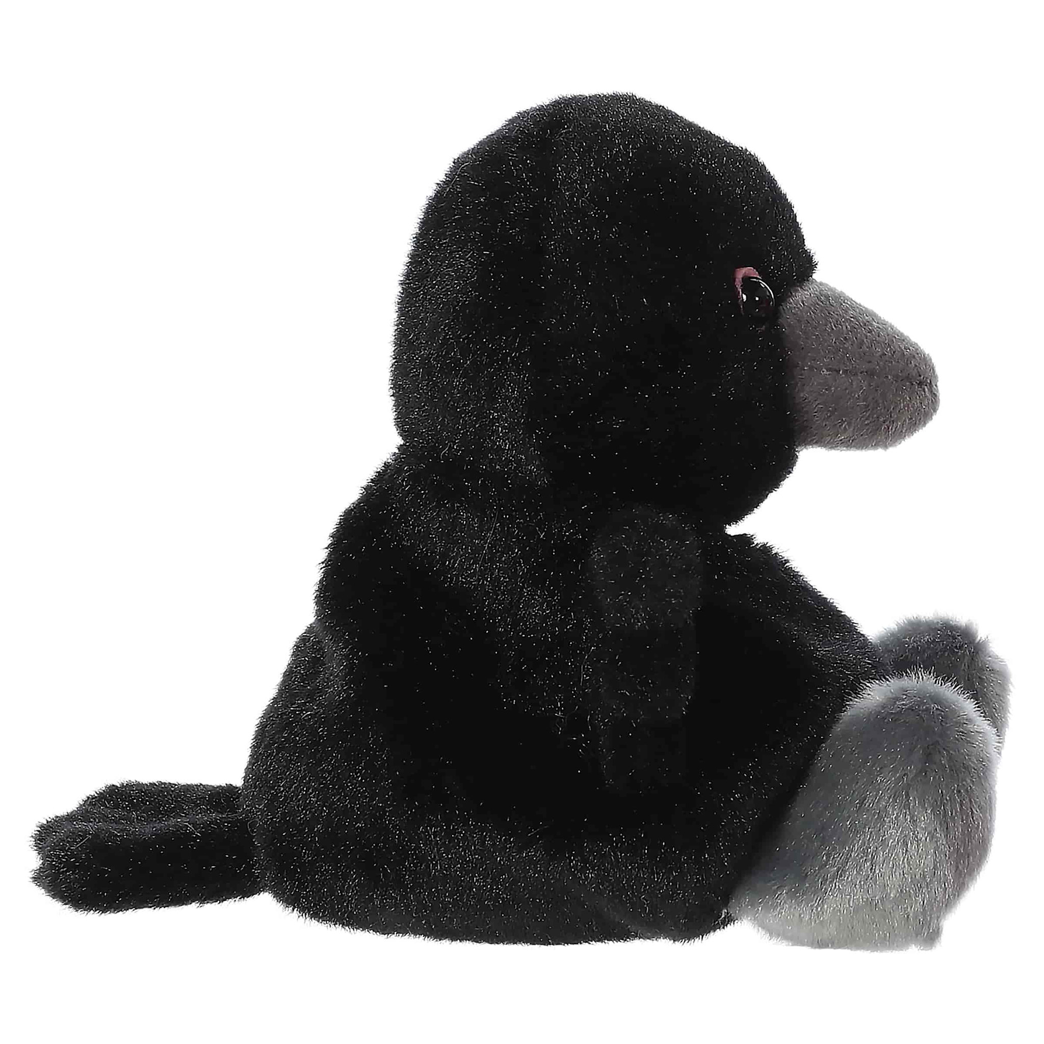 Palm Pals Palm Pal Poe Raven
