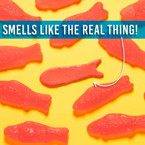 Crazy Aaron Crazy Aaron's Thinking Putty SCENTsory Swedish Sweets