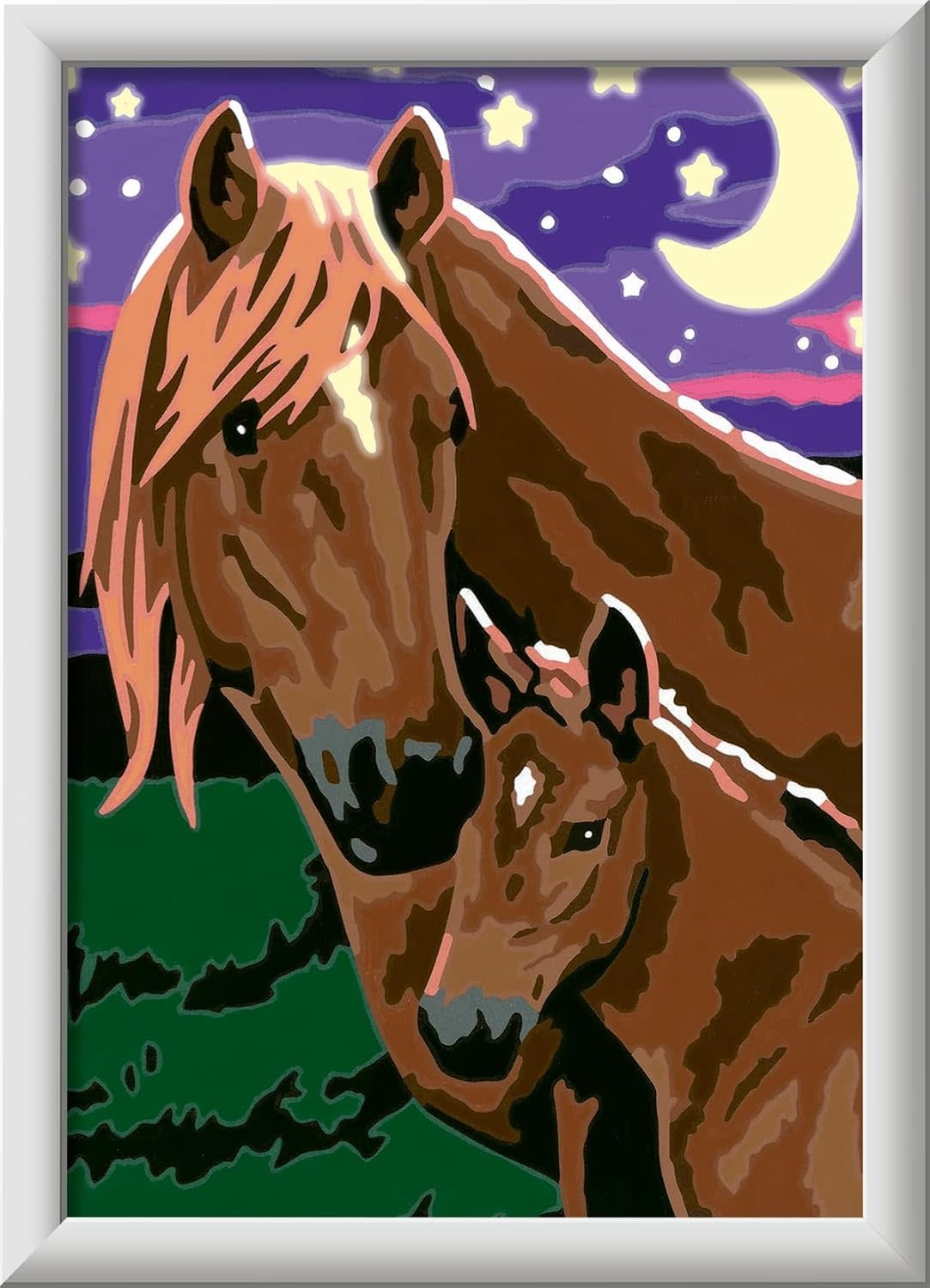 CreArt Painting by Numbers Glow Horses at Midnight