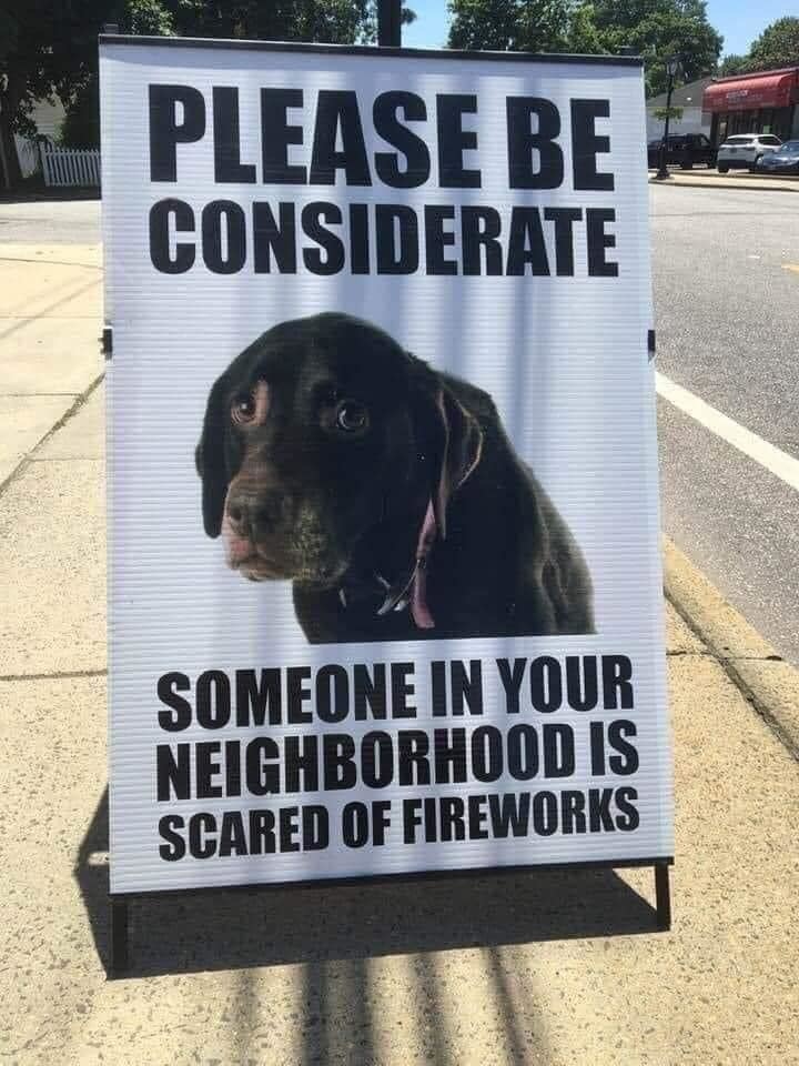 Helpful tips for your pet this 4th of July