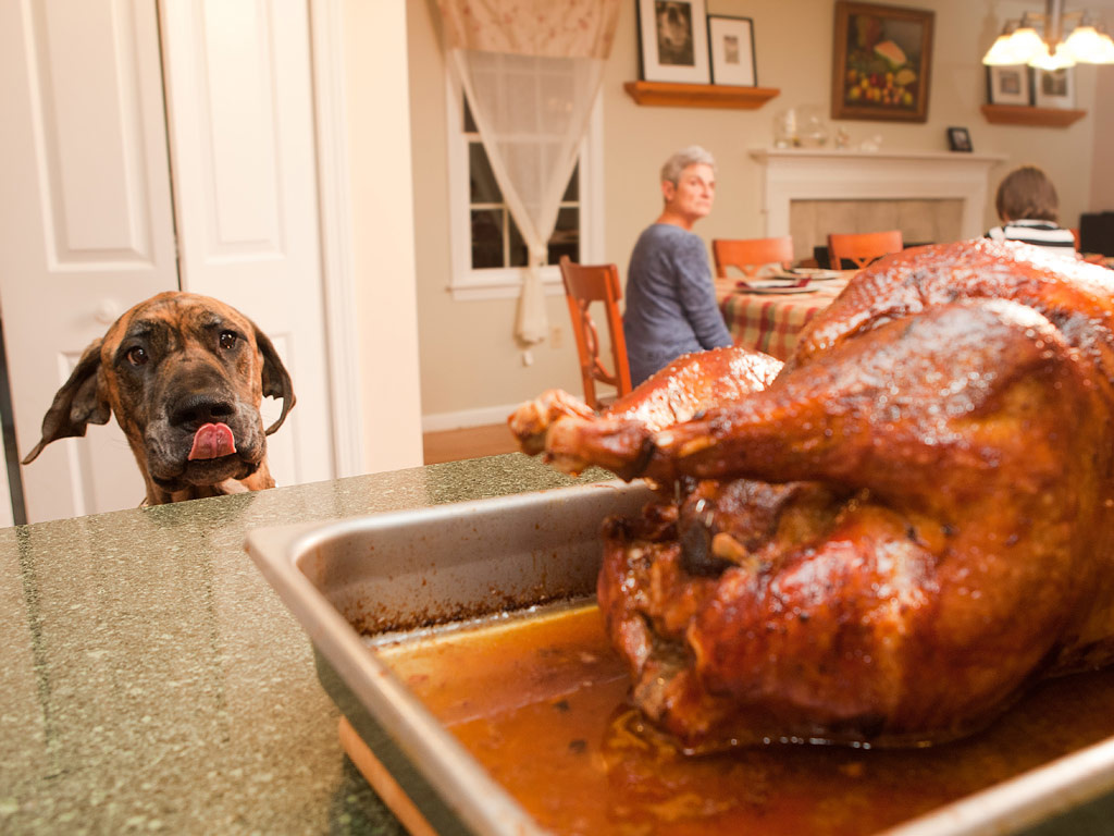 Holiday Do's & Don'ts