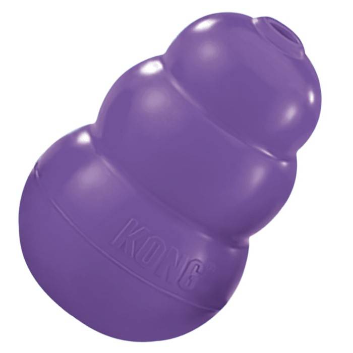 kong senior dog toy
