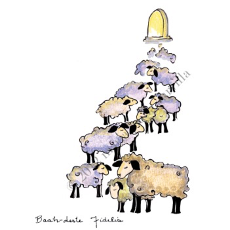 Knit Baah Purl Holiday Card Collection