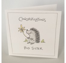 Congratulations Big Sister Card