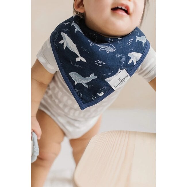 Loulou Lollipop Whales Bandana Bib Set, 2pk