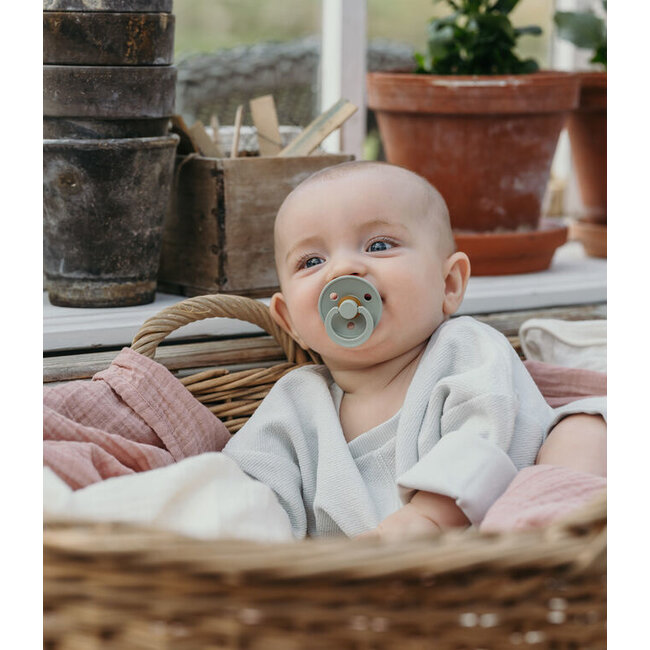 BIBS Sage Original BIBS Pacifier 2pk