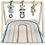 Itzy Ritzy Bitzy Bespoke Ritzy Activity Gym™ Wooden Gym with Toys
