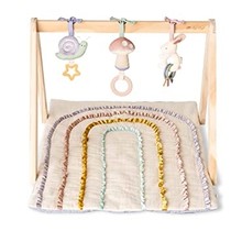 Bitzy Bespoke Ritzy Activity Gym™ Wooden Gym Pastel