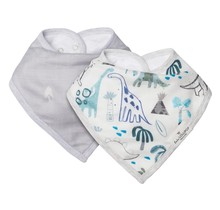 Dinosaurs Bandana Bib Set, 2pk