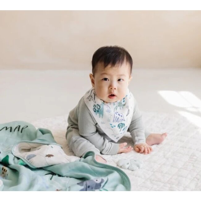 Loulou Lollipop Dinosaurs Bandana Bib Set, 2pk