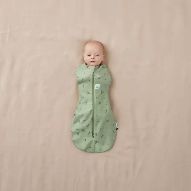 Ergo Pouch Willow ErgoPouch Cocoon, 1.0 TOG