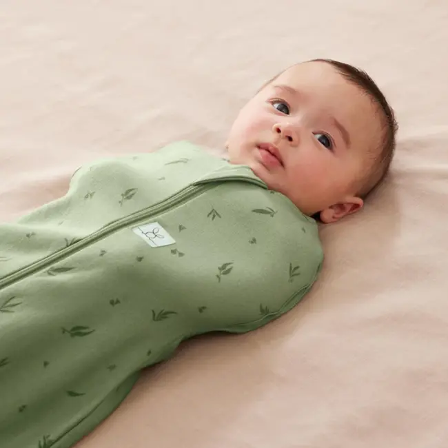 Ergo Pouch Willow ErgoPouch Cocoon, 0.2