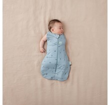 Dragonflies ErgoPouch Cocoon, 2.5 TOG