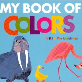 My Book of Colors, Board Book
