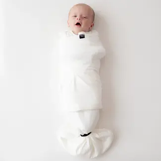 Kyte Baby Cloud Sleep Bag Swaddler