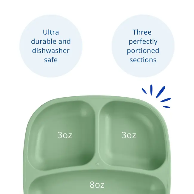 Sage Re-Play Divided Plate