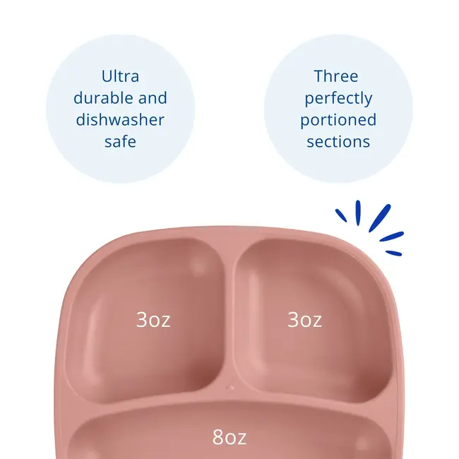 Desert Re-Play Divided Plate
