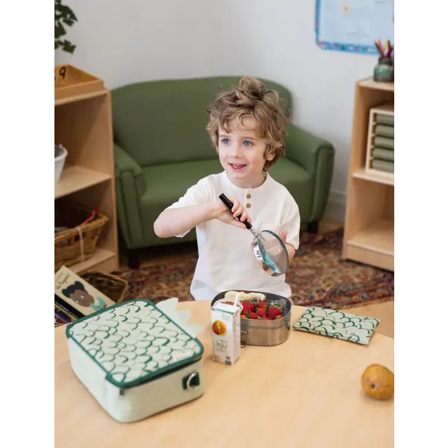 SoYoung Dino Scales No-Sweat Ice Pack