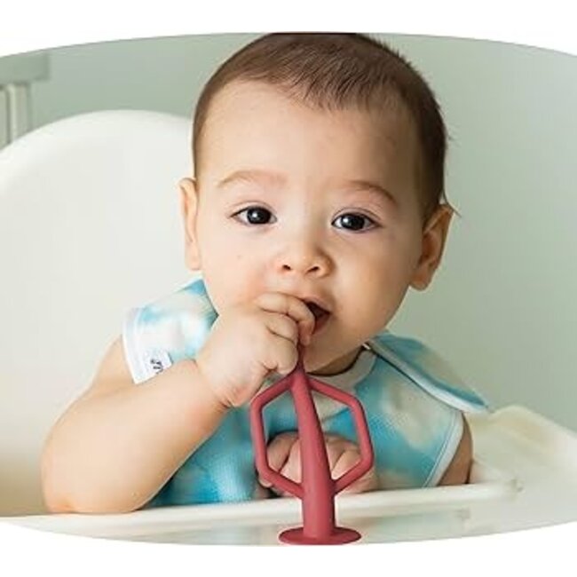 Rose & Burgundy Silicone Training Toothbrush 2 Pack