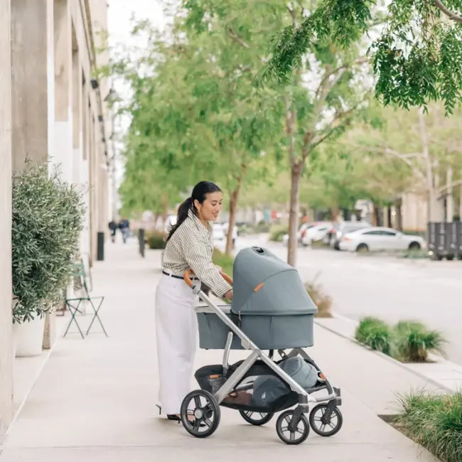 UPPAbaby CALLUM Vista V3 Stroller