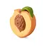 Oli & Carol Palm Peach Teether