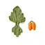 Oli & Carol Cathy the Carrot Doudou Teether