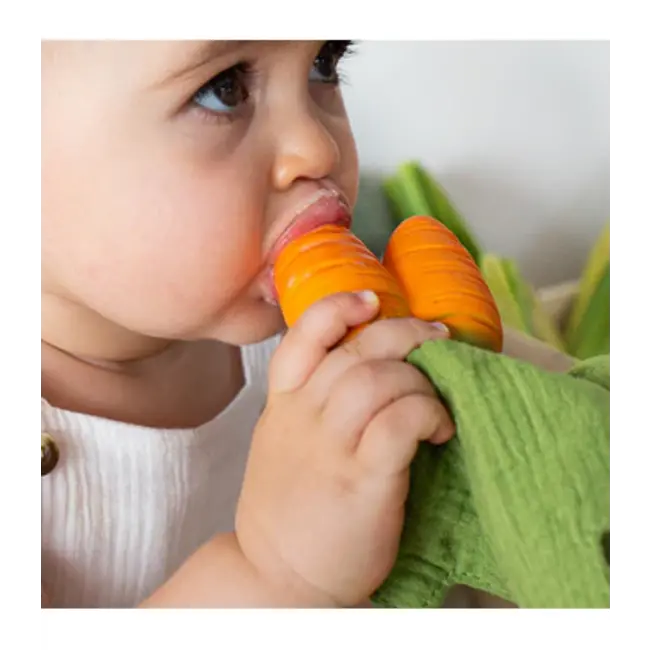 Oli & Carol Cathy the Carrot Doudou Teether