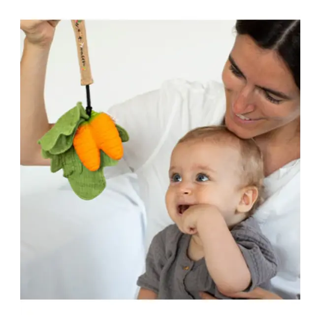 Oli & Carol Cathy the Carrot Doudou Teether