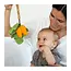 Oli & Carol Cathy the Carrot Doudou Teether