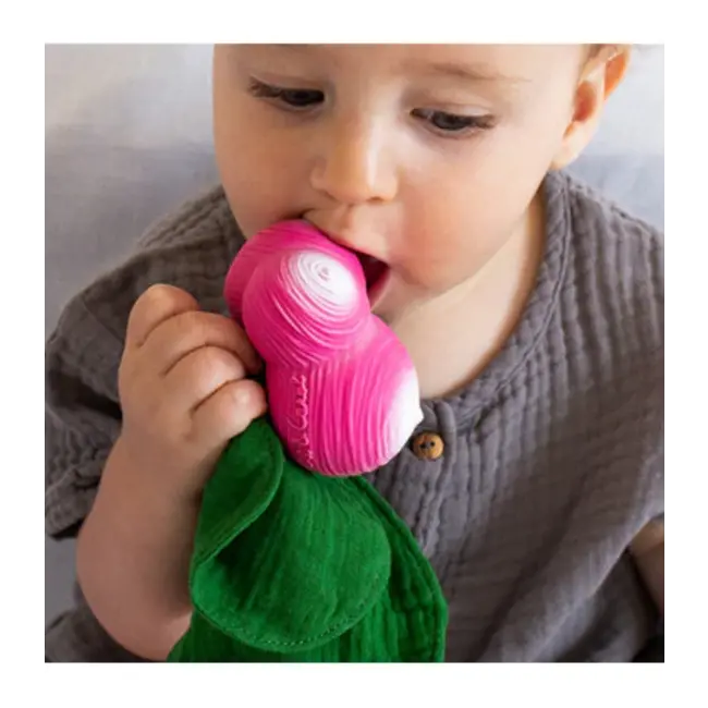 Oli & Carol Ramona the Radish Doudou Teether