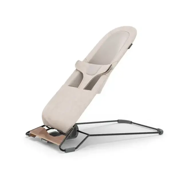 UPPAbaby Mira Bouncer Charlie