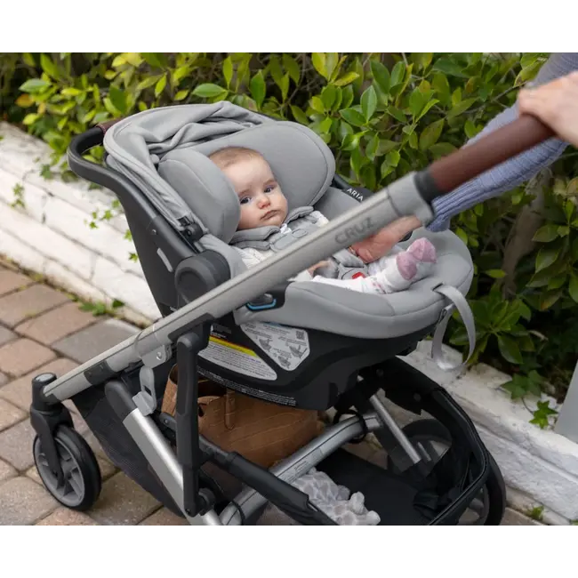 UPPAbaby ANTHONY Aria Infant Car Seat