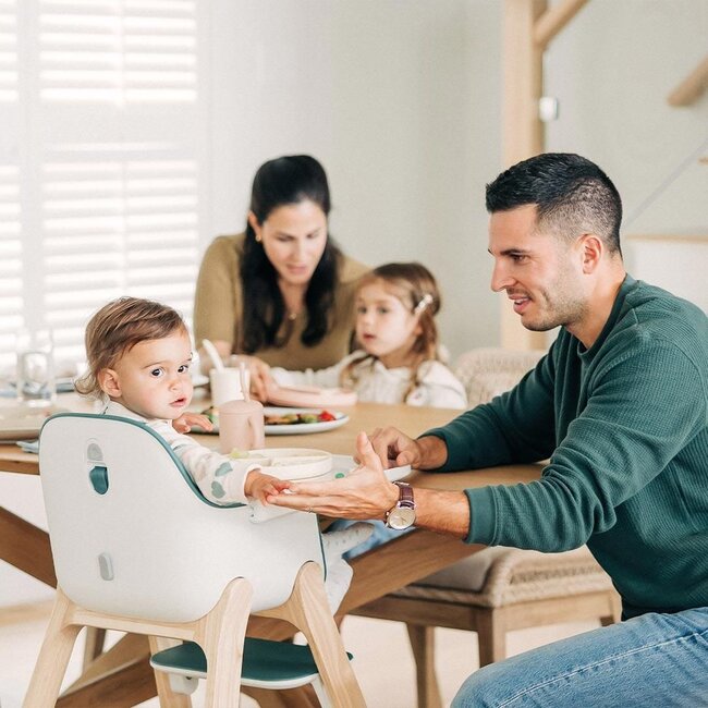 UPPAbaby Emrick Ciro Highchair