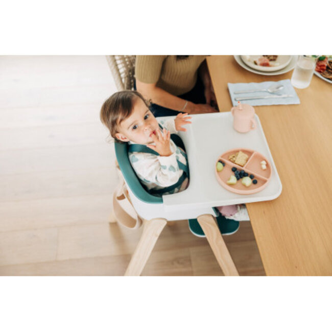 UPPAbaby Emrick Ciro Highchair