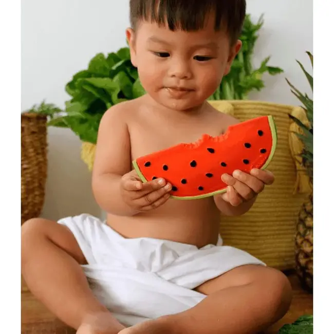 Oli & Carol Wally the Watermelon Teether