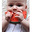 Oli & Carol Wally the Watermelon Teether