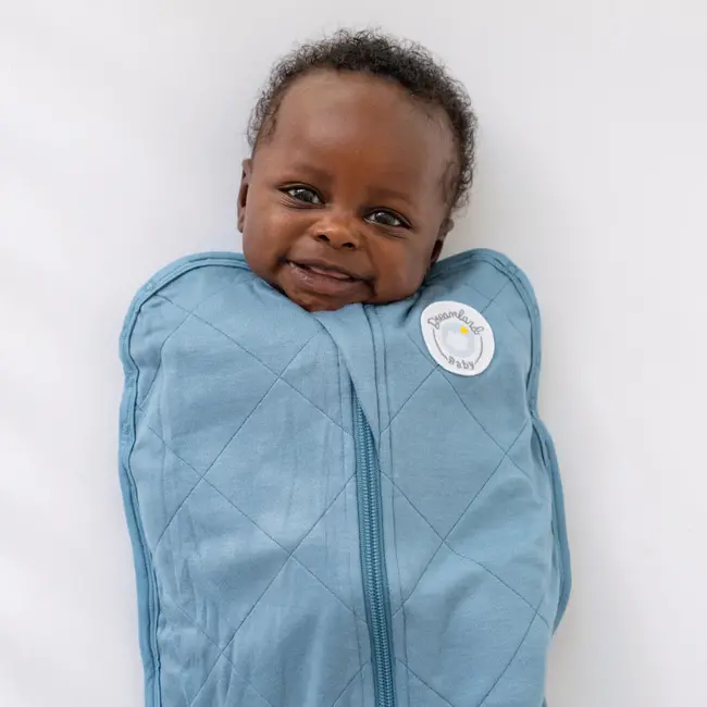 Dreamland Baby Ocean Blue Bamboo Swaddle & Sack, 0-6m