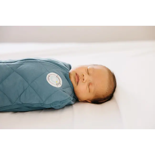 Dreamland Baby Ocean Blue Bamboo Swaddle & Sack, 0-6m