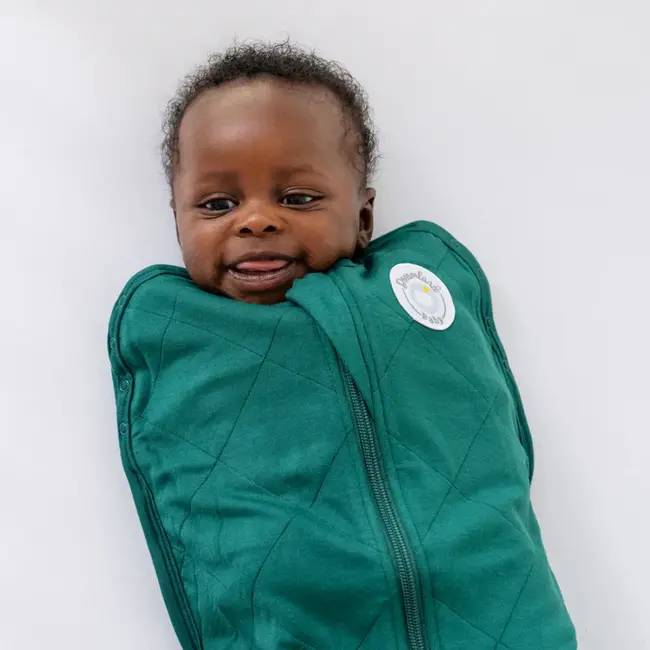 Dreamland Baby Forest Green Bamboo Swaddle & Sack, 0-6m