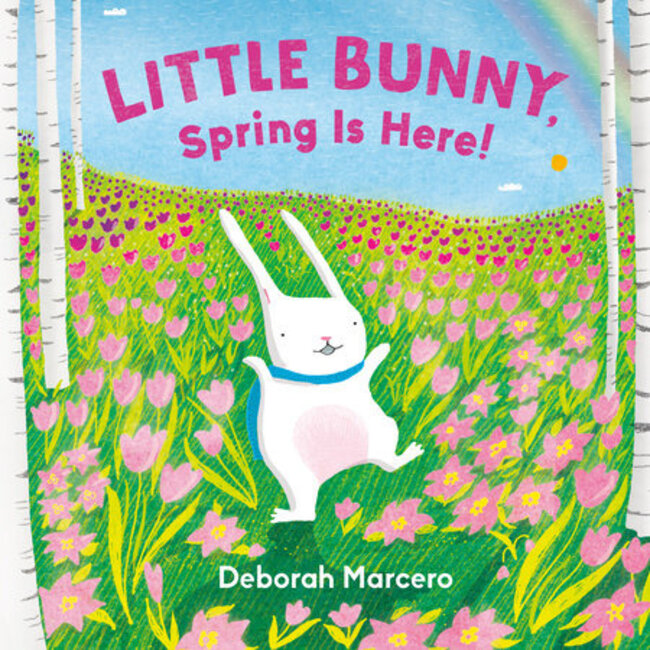 Little Bunny, Spring is Here!, Board Book