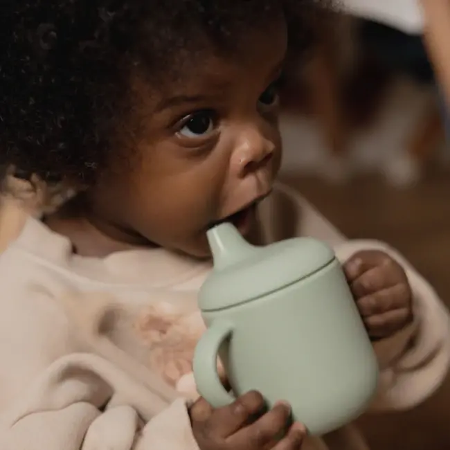 Nouka Leaf Non-Spill Sippy Cup