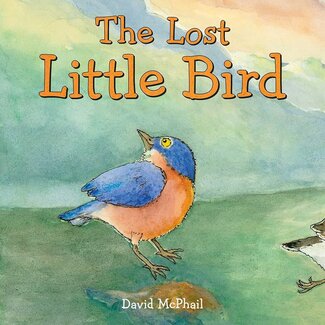 The Lost Little Bird, Hardcover Book