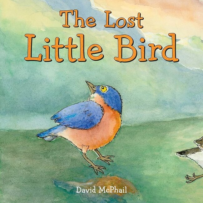 The Lost Little Bird, Hardcover Book
