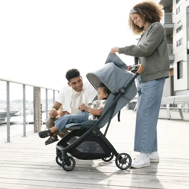 UPPAbaby DILLAN Minu V3 Stroller